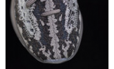 Adidas Originals Yeezy  Boost 380 “Stone Salt”
